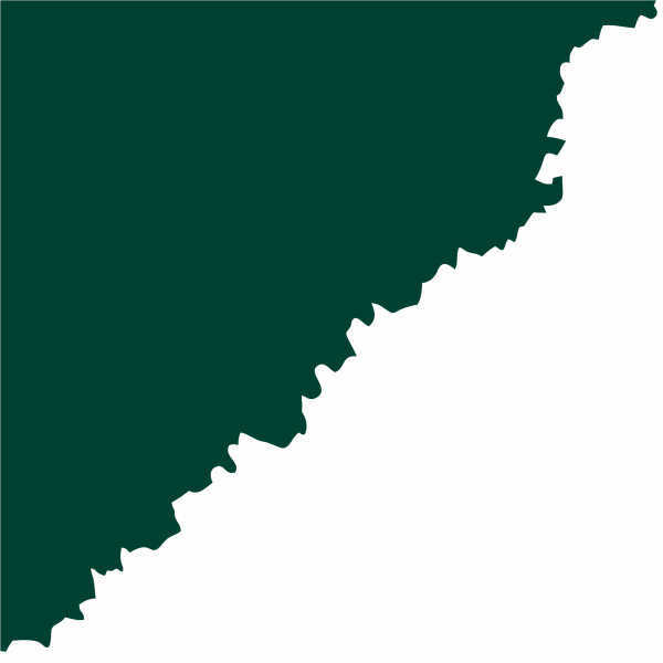 Темно-зеленый & Белый