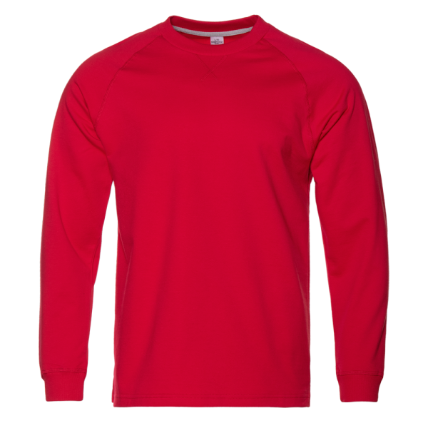 Свитшот с начесом арт. 60, Красный