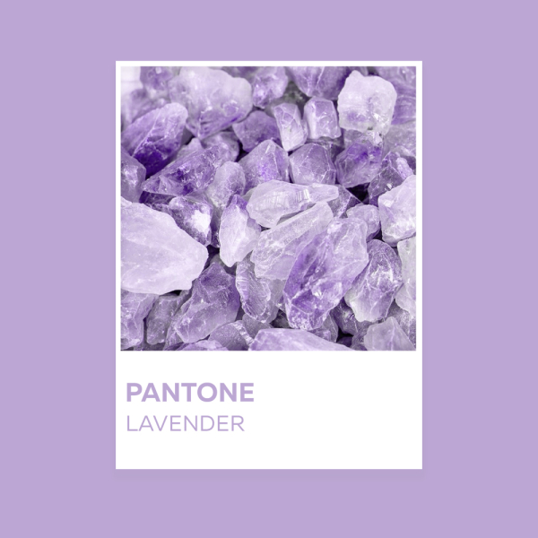 Цифровая лаванда