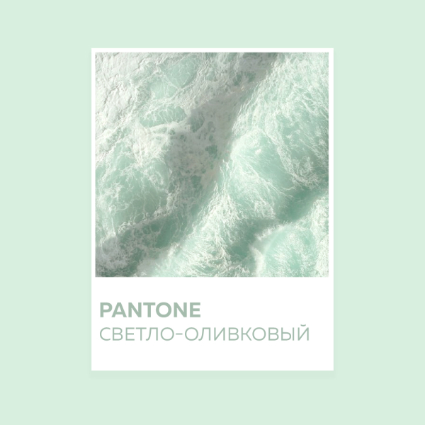 Светло-оливковый