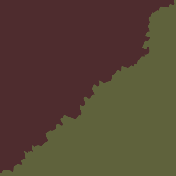 Темно-шоколадный & Оливковый хаки