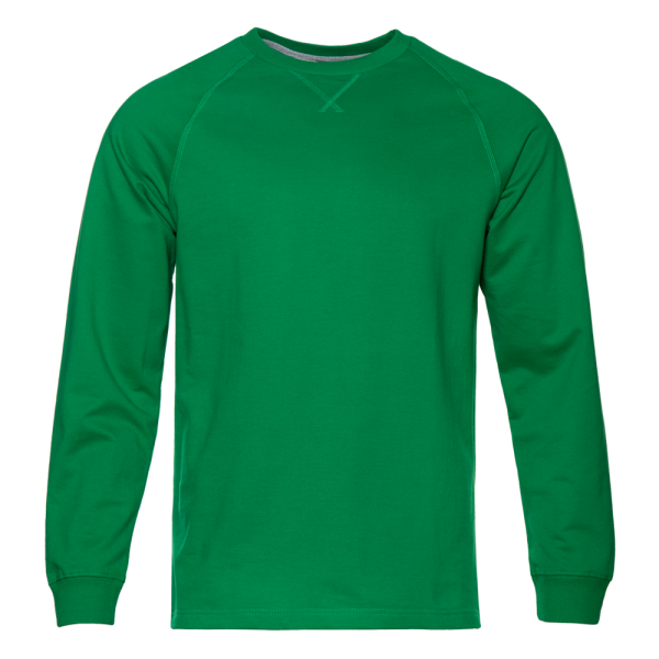 Свитшот с начёсом арт. 60, Зелёный