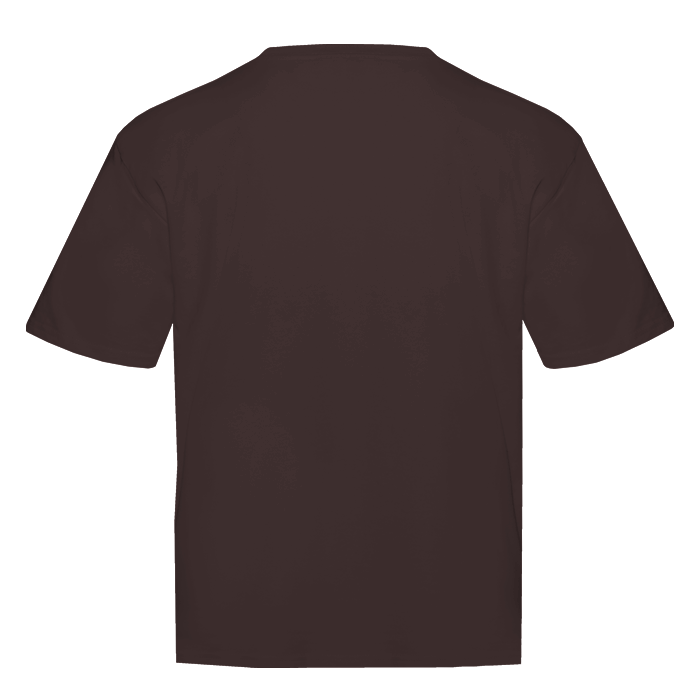 Коричневая футболка арт. 56 оверсайз кроя из 100% хлопка, 240 гр/м2, оптом | Мерч, униформа и текстиль для бизнеса фото-2