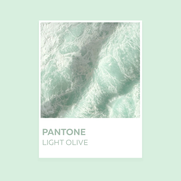 Светло-оливковый