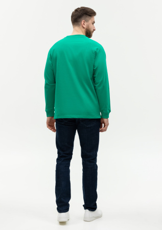 Свитшот унисекс STAN футер с начёсом 220, 60, Зелёный (30) | Мерч, униформа и текстиль для бизнеса photo-4