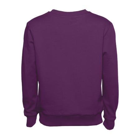 Свитшот детский STAN футер без начеса 260, 63J, Сливовый (95) | Мерч, униформа и текстиль для бизнеса photo-2