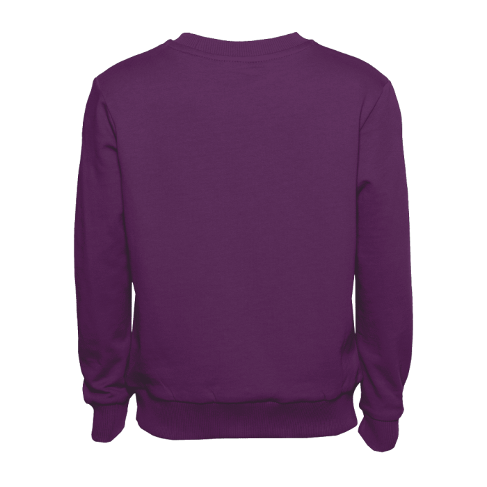 Свитшот детский STAN футер без начеса 260, 63J, Сливовый (95) | Мерч, униформа и текстиль для бизнеса фото-2