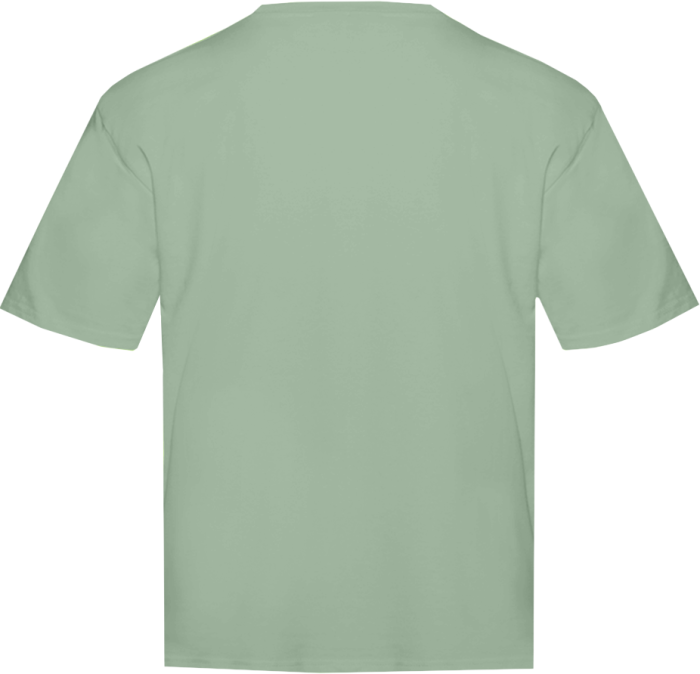 Футболка унисекс оверсайз STAN хлопок  260, 156, Оливковый Хаки (36) фото-2