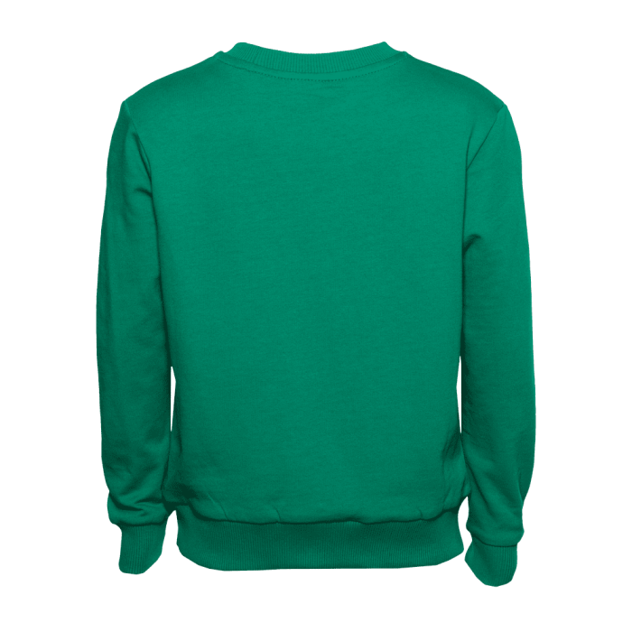Свитшот детский STAN футер без начёса, 260, 63J, Зелёный (30) | Мерч, униформа и текстиль для бизнеса фото-2