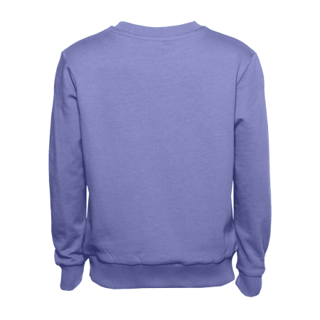 Свитшот детский STAN футер без начеса 260, 63J, Васильковый (17) | Мерч, униформа и текстиль для бизнеса photo-2