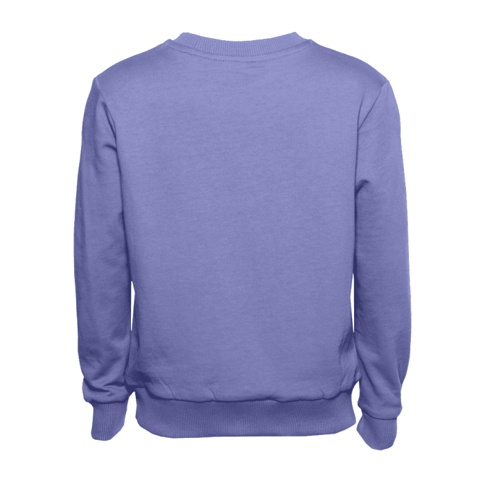 Свитшот детский STAN футер без начеса 260, 63J, Васильковый (17) | Мерч, униформа и текстиль для бизнеса фото-2