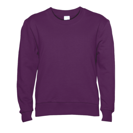 Свитшот детский STAN футер без начеса 260, 63J, Сливовый (95) | Мерч, униформа и текстиль для бизнеса photo-0