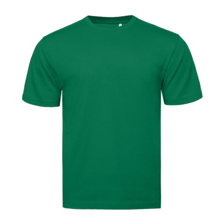 Футболка STAN, хлопок 160, 301, Зелёный (30) photo-0