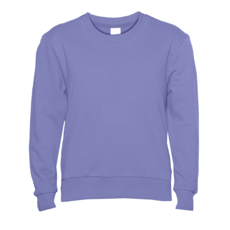 Свитшот детский STAN футер без начеса 260, 63J, Васильковый (17) | Мерч, униформа и текстиль для бизнеса photo-0