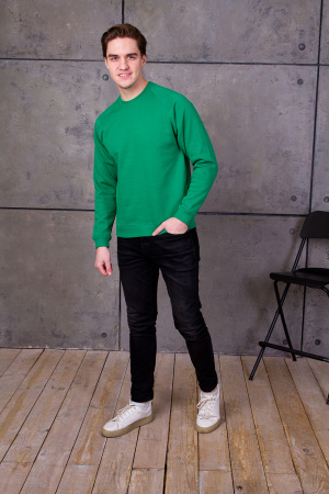 Свитшот унисекс STAN  футер с начёсом 260, 53, Зелёный (30) | Мерч, униформа и текстиль для бизнеса photo-5