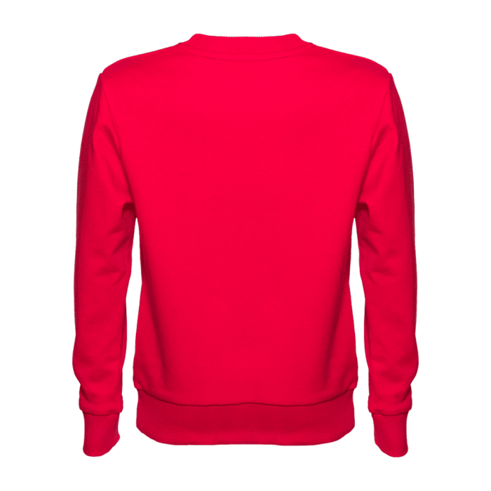 Свитшот детский STAN футер без начёса, 260, 63J, Красный (14) | Мерч, униформа и текстиль для бизнеса фото-2