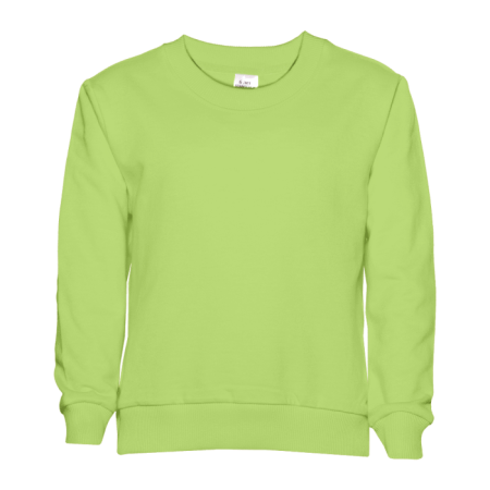 Свитшот детский STAN футер без начеса 260, 63J, Весенний (25) | Мерч, униформа и текстиль для бизнеса photo-0