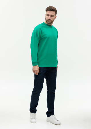 Свитшот унисекс STAN футер с начёсом 220, 60, Зелёный (30) | Мерч, униформа и текстиль для бизнеса photo-5