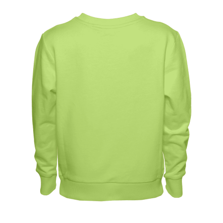 Свитшот детский STAN футер без начеса 260, 63J, Весенний (25) | Мерч, униформа и текстиль для бизнеса photo-2