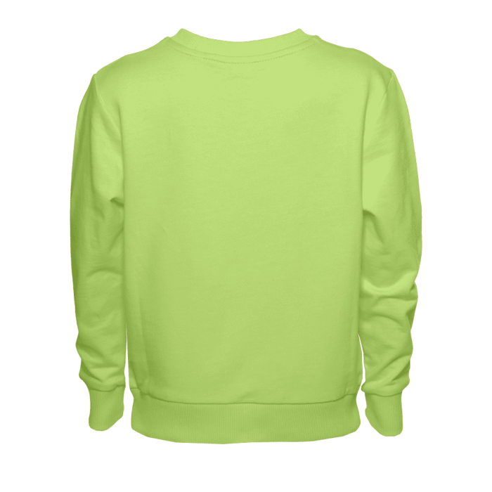 Свитшот детский STAN футер без начеса 260, 63J, Весенний (25) | Мерч, униформа и текстиль для бизнеса фото-2